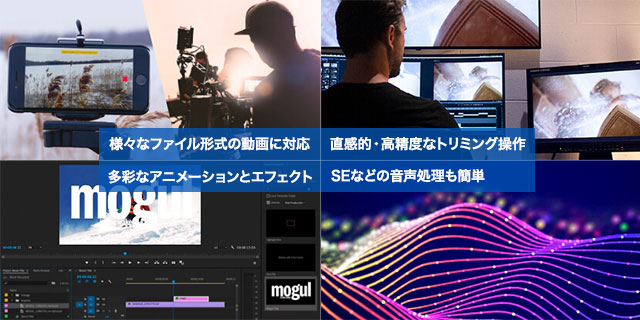 お試し期間有り Premiere Proは動画編集ソフト 使い方と機能を徹底解説 動画あり ワカルニ